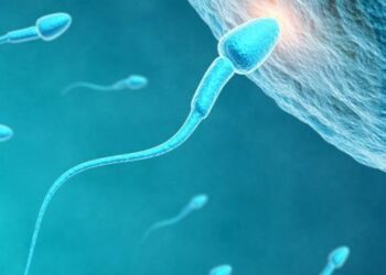 Proponen crear en la Luna un banco de esperma para proteger a la humanidad