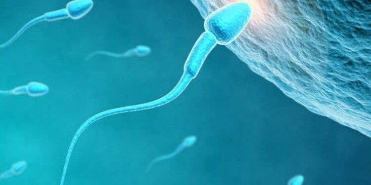 Proponen crear en la Luna un banco de esperma para proteger a la humanidad