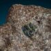 Un meteorito de un antiguo mundo perdido cayó en el Sáhara en 2020