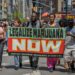 El gobernador de Nueva York promulga la legalización de la marihuana