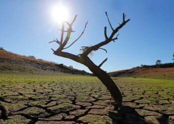 Sequías estivales europeas desde 2015 sin precedentes en 2.000 años