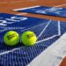 Abierto de Francia podría ser aplazado