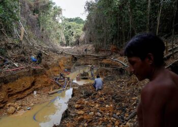 Satélite de Google Earth deja al descubierto el hambre de la minería en Venezuela