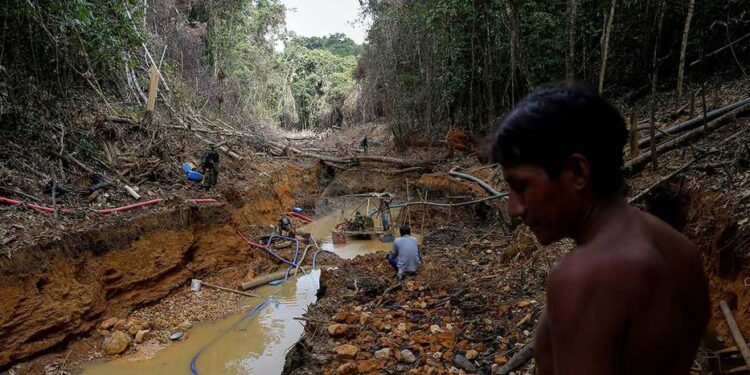 Satélite de Google Earth deja al descubierto el hambre de la minería en Venezuela