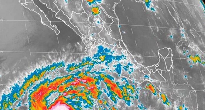 Elon Musk revela que tiene el síndrome de Asperger