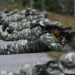 FANB ofreció vivienda y dinero a familias de militares asesinados por las FARC a cambio de su silencio