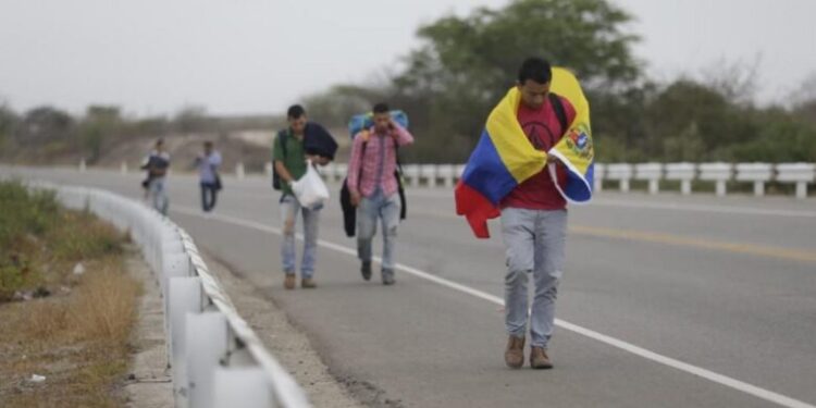 Red de apoyo derriba barreras en la atención de salud para población migrante irregular