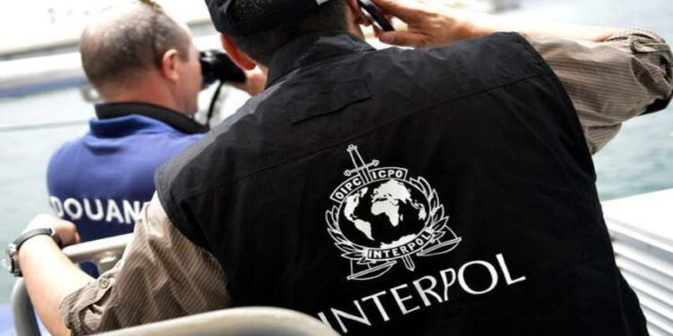 Interpol arrestó a 286 supuestos traficantes de migrantes