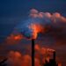 Seis gigatoneladas netas de carbono se emiten sobre tierra cada año