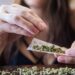 Estudio sugiere una relación entre el consumo de cannabis y la suicidalidad en adultos jóvenes