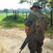 Disidencias de las FARC pidieron armas a Maduro y libertad de movimiento en estados venezolanos