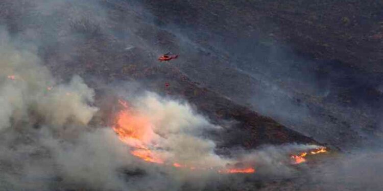 Controlado incendio en sur de España que arrasó más de 9 mil hectáreas