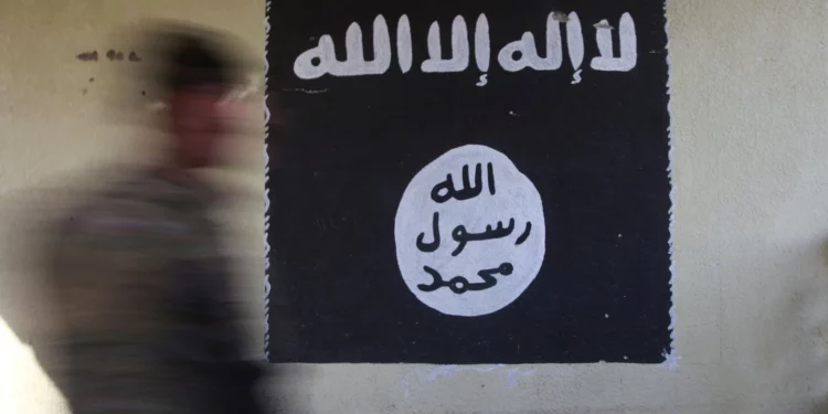 Miles de terroristas del Estado Islámico vuelven a la lucha