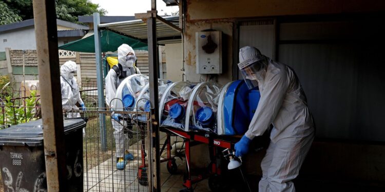 Descubren un anticuerpo ultrapotente contra las diferentes variantes del coronavirus