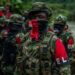 Más 10.000 guerrilleros de Colombia tienen influencia en departamentos fronterizos con Venezuela