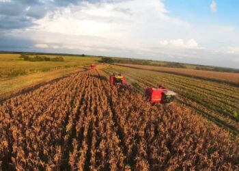 Alex Saab no podrá acceder a libertad bajo fianza