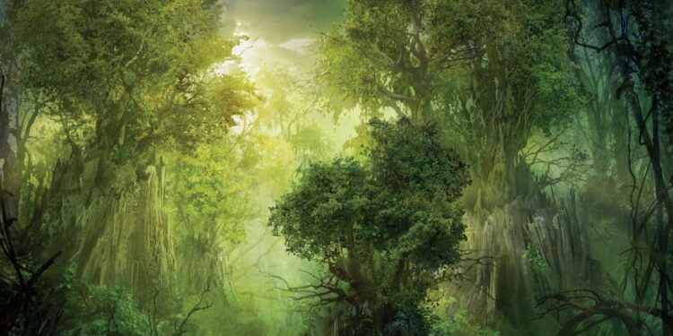 Los árboles no dejan ver el bosque Por Angel Monagas