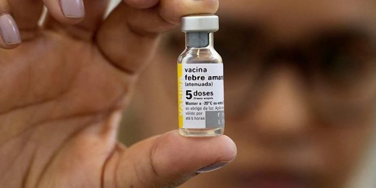 Al menos 95% de los venezolanos deben estar vacunados contra la fiebre amarilla para prevenir la enfermedad