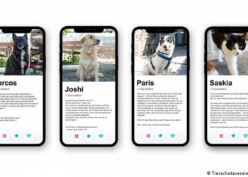 Mascotas abandonadas en la pandemia buscan dueños en Tinder