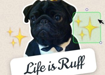 WhatsApp lanza un creador de ‘stickers’ personalizados desde escritorio y Web