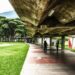 Sectores de la UCV comprometidos en defender la universidad y los derechos