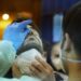 Contagios de coronavirus comienzan a remitir en Europa, según datos del ECDC
