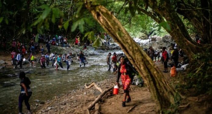 Confirman la muerte de cuatro migrantes venezolano en la selva de Darién