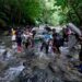 Más de 70 migrantes venezolanos están desaparecidos en la Selva del Darién