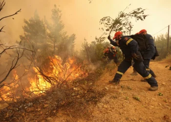 La importancia del Build Back Better Act para combatir el cambio climático, por Huella Zero