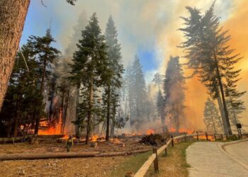 Desalojan y cierran Parque Nacional Yosemite ante incendio de 15 mil hectáreas
