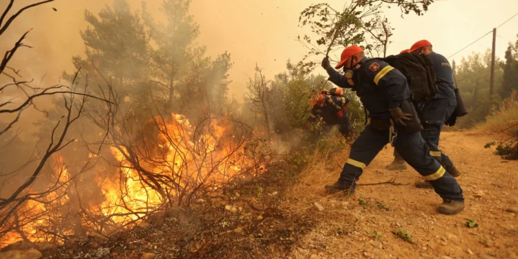 La importancia del Build Back Better Act para combatir el cambio climático, por Huella Zero
