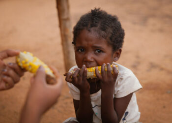 Casi 830 millones de personas sufrieron hambre en el mundo en 2021