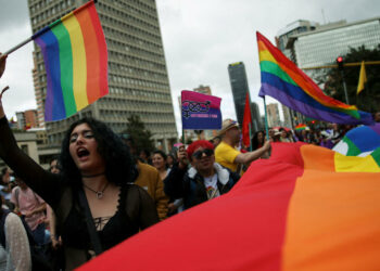 Diputado chavista aseguró que parejas homosexuales acabarán con la raza humana