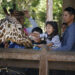 Zoo en Dallas levanta sospechas: Roban monos, balean a buitre y liberan a leopardo
