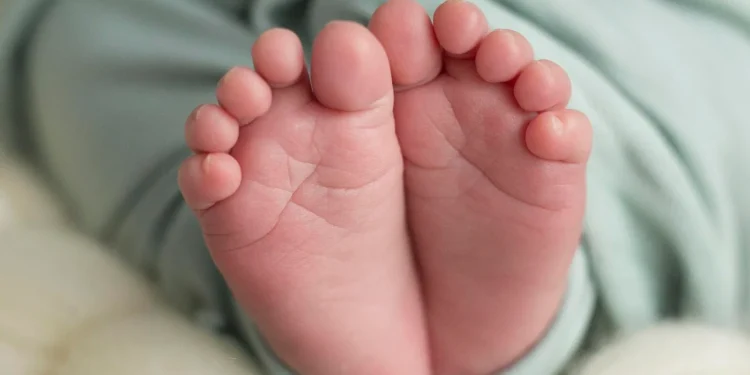 El covid-19 sigue siendo una emergencia sanitaria internacional, según la OMS