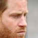 Príncipe Harry: No reconozco ni a mi padre ni a mi hermano