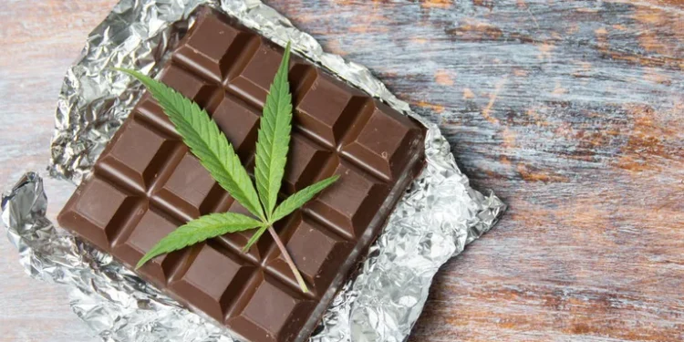 Alerta en EEUU por incremento de casos de niños que consumen marihuana comestible