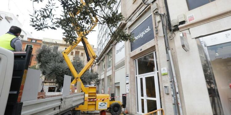 Oficina en Mallorca de la empresa acusada de colaborar con Rusia está cerrada y en obras