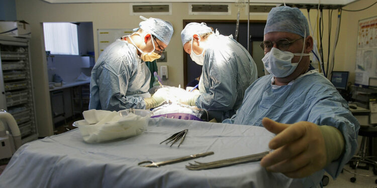 Legisladores de EEUU proponen reducir sentencias de presos si donan sus órganos