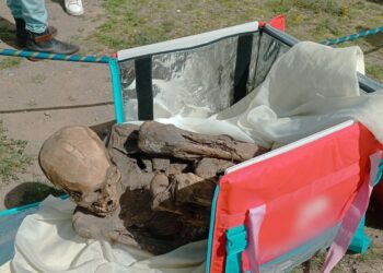 Momia prehispánica aparece en la bolsa de un repartidor de comida