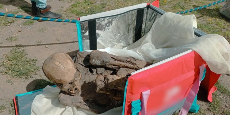 Momia prehispánica aparece en la bolsa de un repartidor de comida