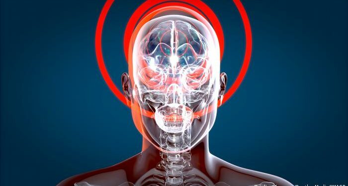 Genoterapia que se inyecta directamente en el cerebro sorprende a científicos