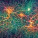 Antiguo instinto humano podría estar detrás del Alzheimer