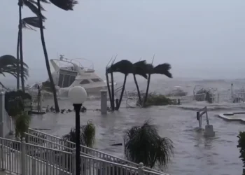 Revelan que cambio climático afectará severamente a Florida