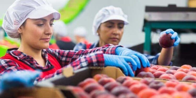 Cinco ciudades de Florida para encontrar trabajo