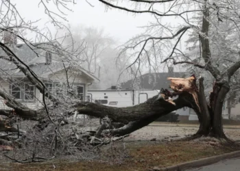 Tormenta invernal seguirá afectando a los Estados Unidos