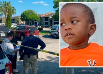 Buscan niño de 2 años desaparecido tras el asesinato de su madre en Florida