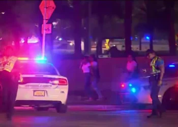 Estampida de niños causó caos en la Feria de la Juventud de Miami-Dade