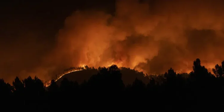 Inicia temporada de incendios forestales en España