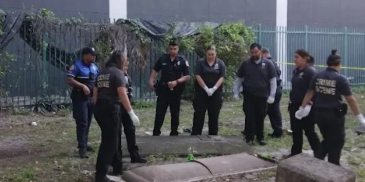 Investigan profanación de una tumba en el histórico cementerio de Miami
